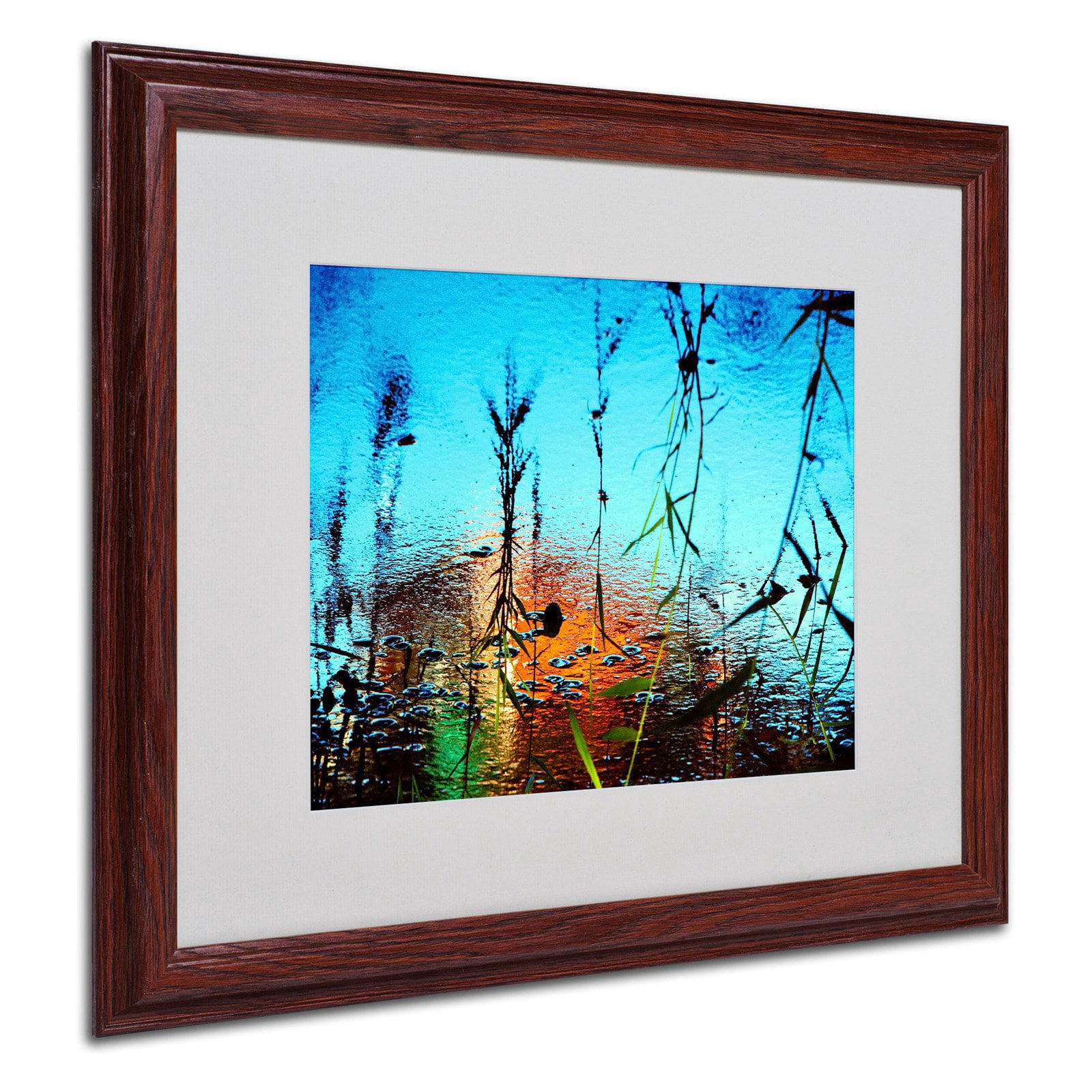 Trademark Fine Art "Painted by Nature" Framed Canvas Art by Beata Czyzowska Young