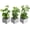 Grey, variant on Set of 3 Artificial Plants Faux Potted Plants Indoor Small Fake House Plants in White Square Ceramic Pots for Shelf Home Office Decor