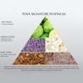 thumbnail image 4 of Perfume Tova Signature Platinum, 100 ml, 4 of 5