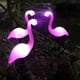 thumbnail image 3 of Luces Solares Para Exteriores ANGGREK Impermeables Flamencos Lámparas LED de Estaca, 3 of 8