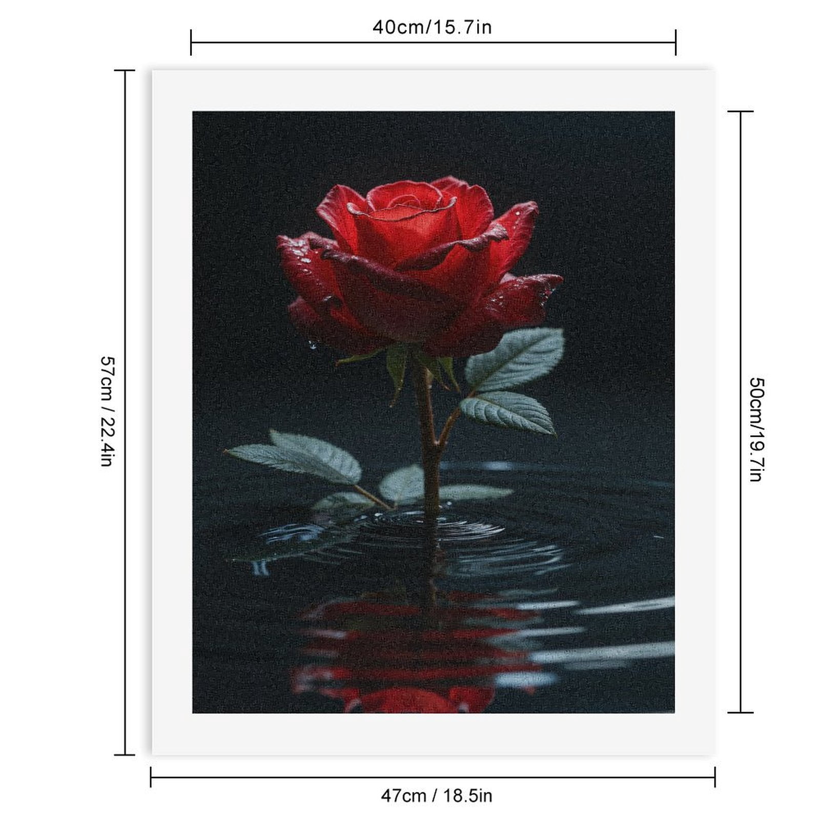 Paint by Numbers Kit for Adults, Red Rose Reflected In Water Paint by Numbers, Easy Paint by Numbers Kit for Adults Beginner, DIY Adult Paint by Number Kits on Canvas, Home Decor