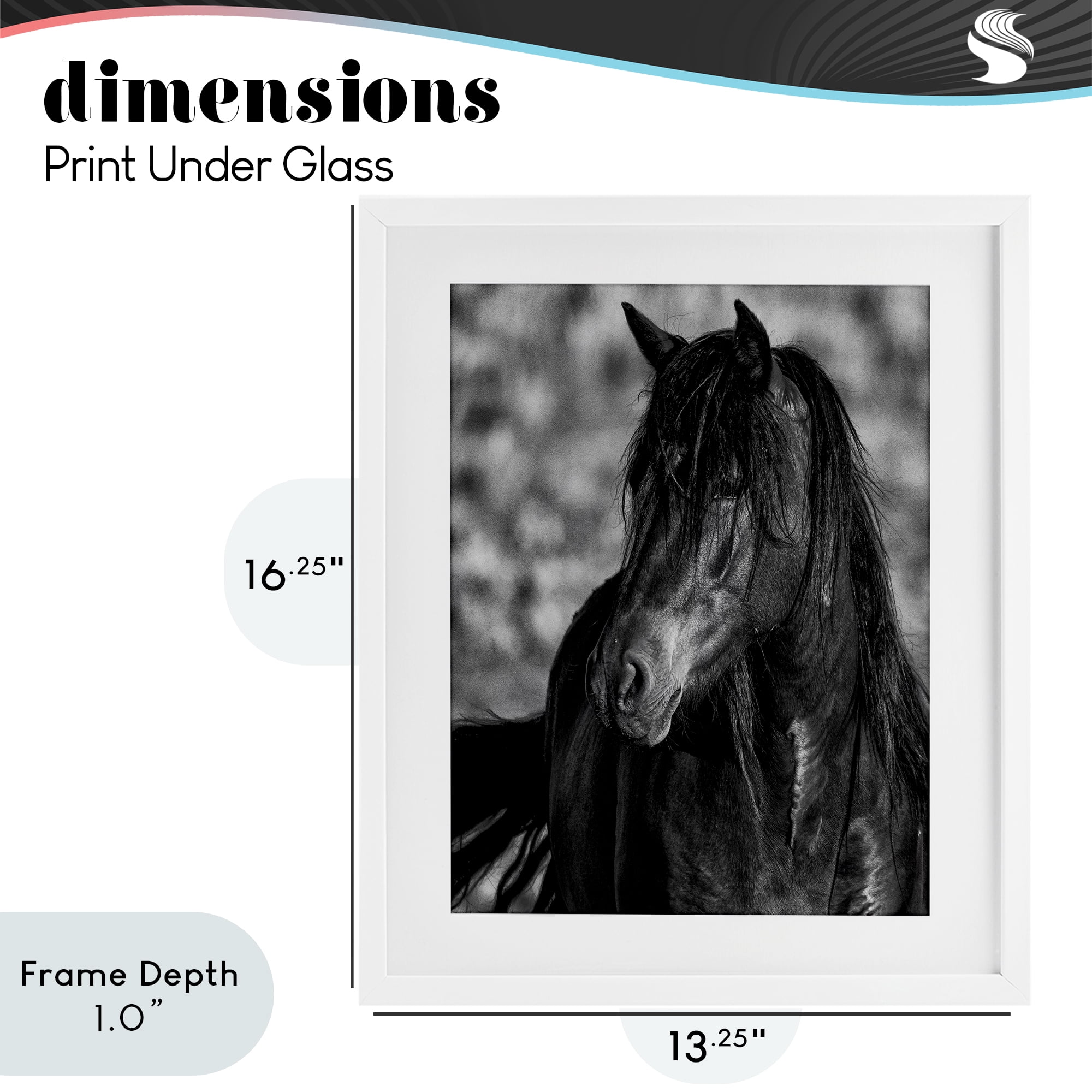 Stupell Industries Beauty In Black White Framed Print Under Glass, design by Tim West