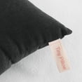 thumbnail image 3 of Ntbay 2 Pack Microfiber Soft Tiny Pillows, Machine Washable Travel Pillows, 11" x 7", Black, 3 of 5