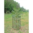 thumbnail image 5 of Garden Plant Protectors,Large Wire Plant Protector from Animals,6 Pack Metal Plant Cage Chicken Wire Cloche with Ground Stakes and Nylon Tie to Keep Animals Out,Garden Protection Bunny Barricade, 5 of 6