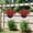 J, variant on Upgraded Lifelike Plastic Artificial Flowers Artificial Violet Plants For Home And Outdoor Decoration Low Maintenance And Realistic J
