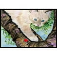 thumbnail image 1 of Carolines Treasures SS8276JMAT Cat - Birman Paillasson - 24 x 36 Po., 1 of 4
