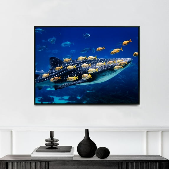 Whale Shark at Georgia Aquarium in Atlanta | Carol M. Highsmith | Premium Fine Art Print | 21th Century American | Photography | Portrait | Nature Art