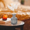 thumbnail image 3 of Shisuyan 2 Pcs Refillable Glass Reed Diffuser Bottles Empty Cylinder Aroma Diffuser Jars Reusable Essential Oil Holder For Office Home Car, 3 of 8