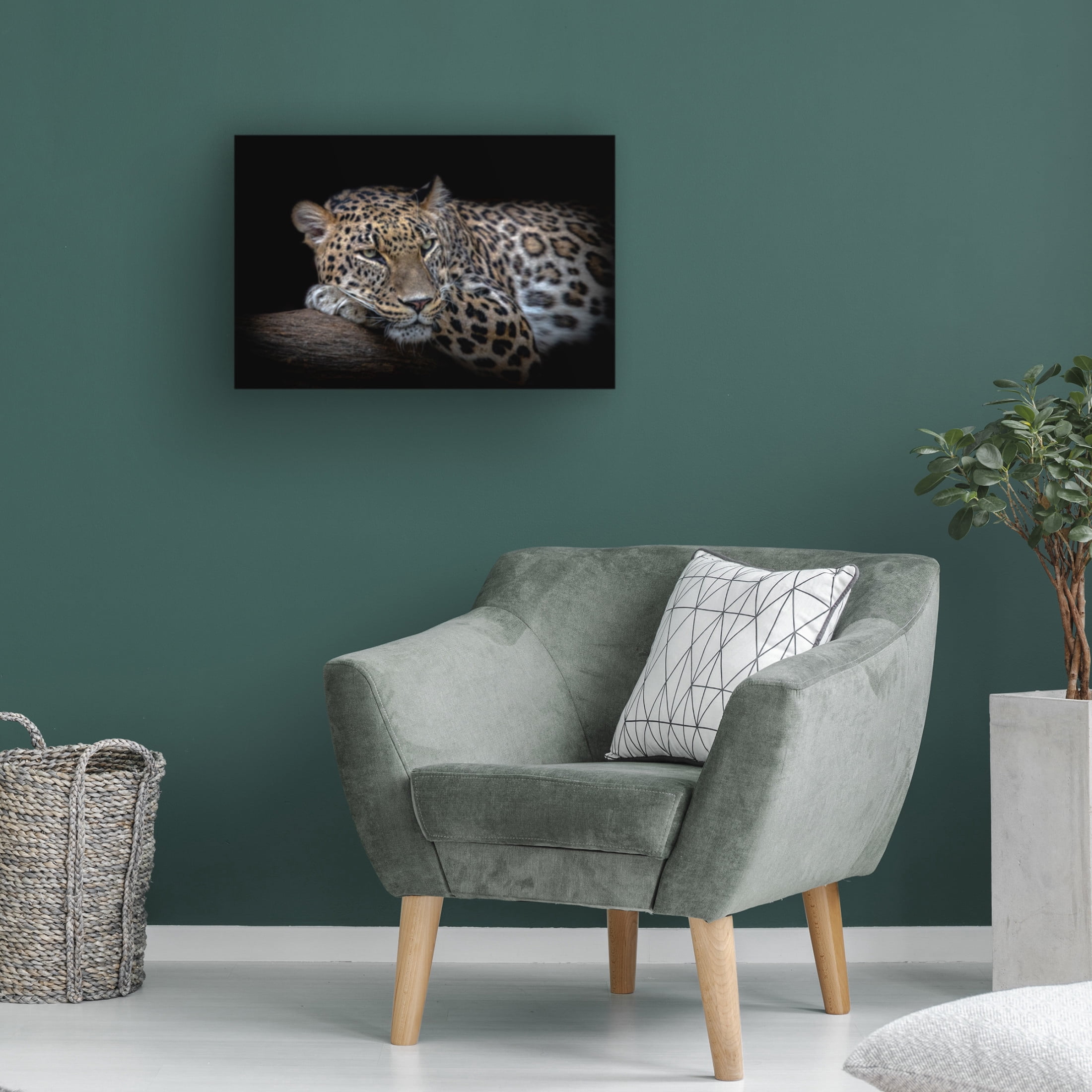 Trademark Fine Art Nauzet Baez Photography Leopard Resting Canvas Wall Art