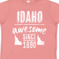 thumbnail image 4 of Inktastic Idaho Awesome Since 1890 Boys or Girls Toddler T-Shirt, 4 of 5