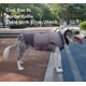 thumbnail image 4 of Ropa para perros Bone Mark-Rojo Talla M Xemadio CJWUS-3570, 4 of 8