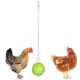 thumbnail image 3 of de Verduras para Pájaros, Soporte para Comida de , Juguete Alimentador Colgante de Verduras para Mascotas, Juguete de Forrajeo de material acero I - L brocheta L Colco Alimentador de alimentos para loros de aves, 3 of 7