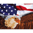 thumbnail image 5 of Diamond Dotz Bald Eagle &amp; Flag Diamond Painting Kits for Adults - Diamond Art Kits a Relaxing Creative Craft Kit with Dotz Gems 22x28, 5 of 6