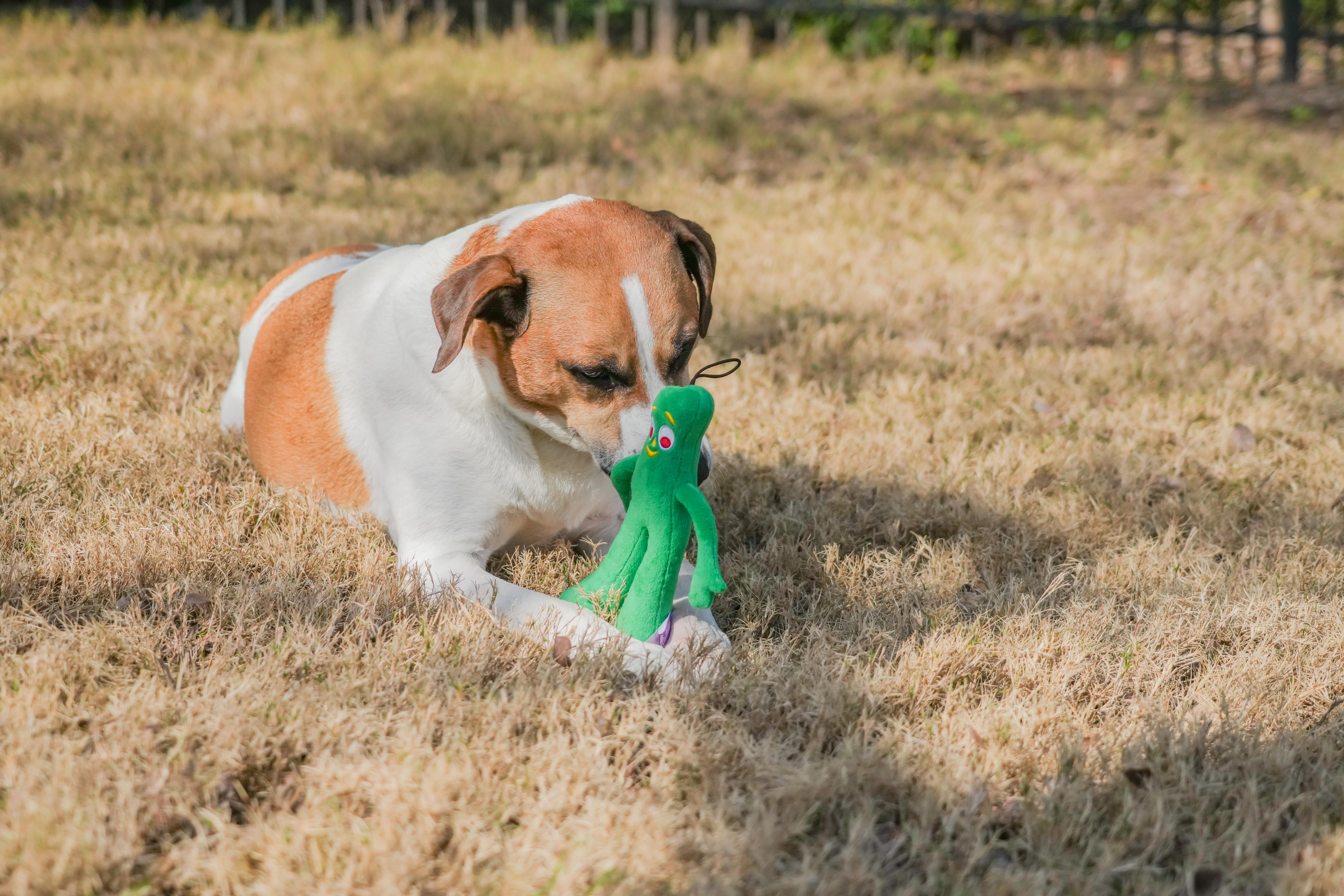Multipet GUMBY PLUSH