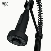 VIGO Industries VG02001MB 1 Handle Pull-Down Spray Kitchen Faucet Matte Black