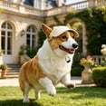 thumbnail image 4 of Dog Baseball Cap, Dog Sun Hat, Pet Sun Hat, Adjustable Chin Strap, Lightweight Breathable Cotton Twill Maroon Dog Ear Cover Hat with Curved Sun Visor for Daily Outdoor Use, 4 of 6