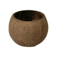 thumbnail image 1 of PENGXIANG Bowls Handmade Storage Bowl Burr Free Multi-purpose Natural Coconut Shell Candle Holder Bowl Home Decor, 1 of 4