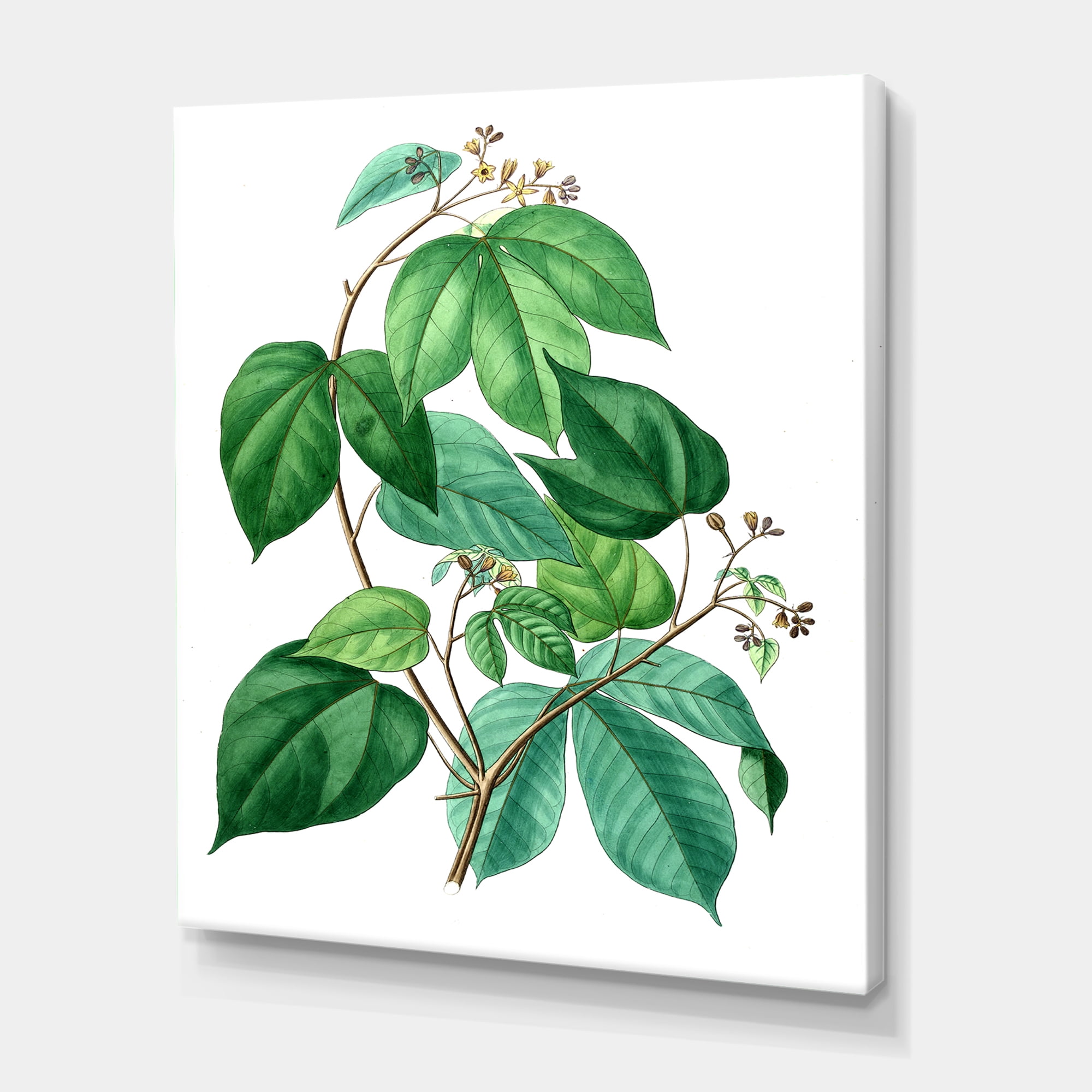Designart ' Ancient Green Leaves Plants III ' Traditional Canvas Wall Art Print