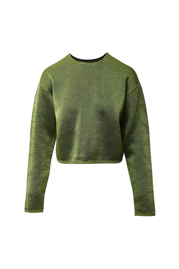Pre-Owned Alexander Wang Cropped Sweater in Green Viscose
