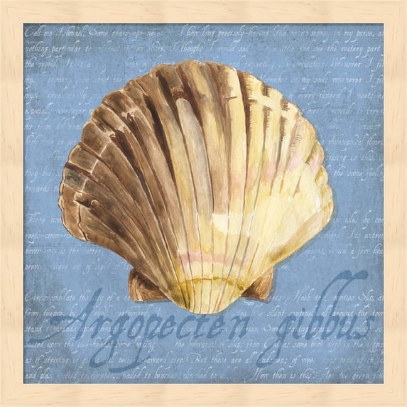 Oceanum Shells Blue V by Tara Reed, Framed Wall Art, 13.25W x 13.25H