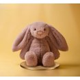 thumbnail image 1 of Zhizhen Shy Rosa Pink Bonnie Rabbit Plush Toy Rabbit Doll Doll Gift, 1 of 1