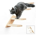 Cathoe Cat Wall Shelves and Perches with Two Steps Cat Climbing Shelf