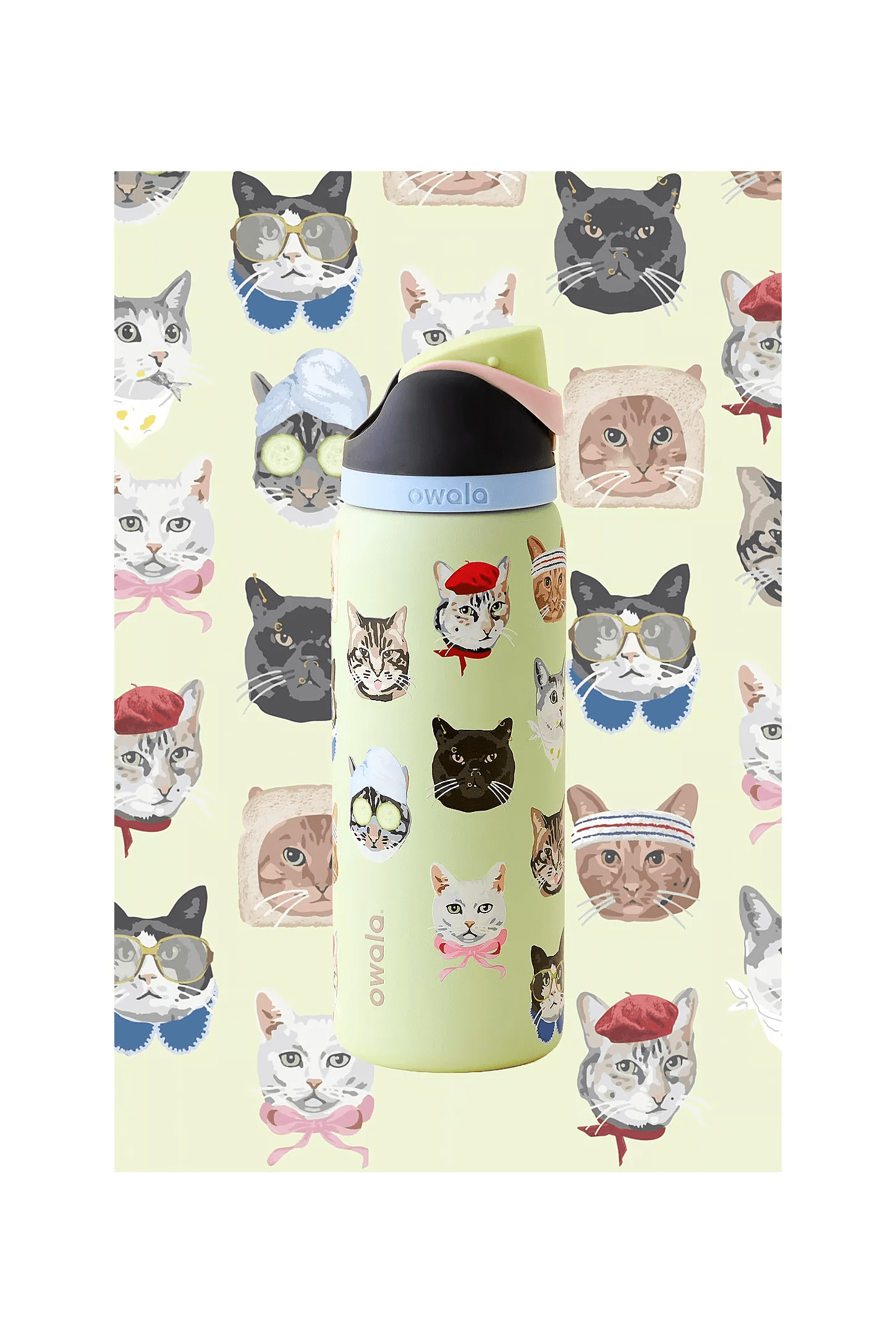 Owala FreeSip Stainless Steel Water Bottle, 32oz cat