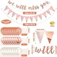 thumbnail image 4 of YANSION We Will Miss You Banner Coworker Going Away Farewell Decorations Rose Gold Triangle Flag Banner Balloon Decor For Goodbye, Retirement, Job Change, Later Traitor Party Supplies, 4 of 12