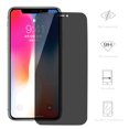 100D Anti Spy Tempered Glass For iPhone 13 12 mini 11 Pro XS Max X XR