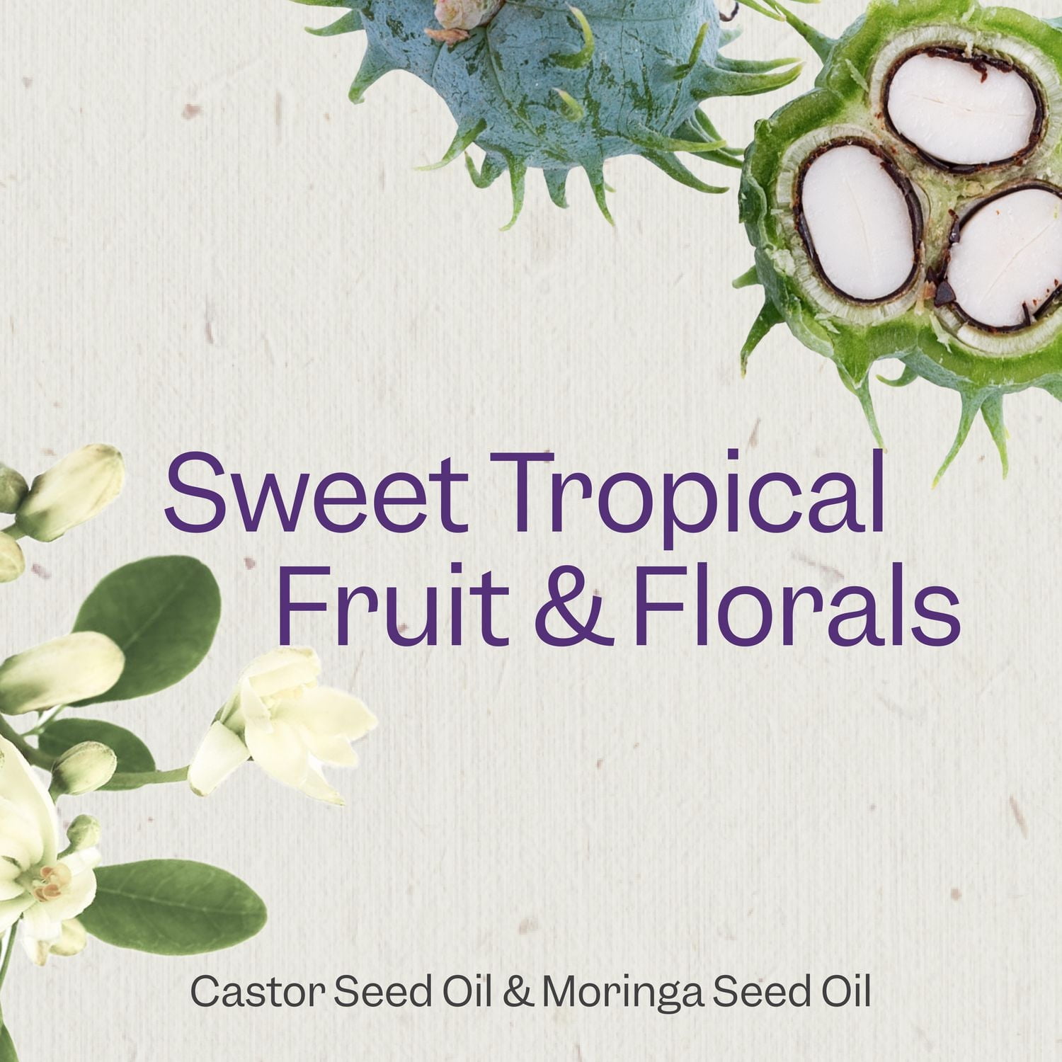 Renpure Castor Oil & Moringa Shampoo, Plant-Based - Curl Enhancing - For Moisturized, Smooth Curls - For Curly Hair - 24 Fl Oz, Curl Enhancing Shampoo