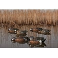 thumbnail image 3 of AVIAN-X Topflight Blue-Winged Teal Durable Ultra Realistic Floating Hunting Duck Decoys, Pack of 6, AVX8080, 3 of 9