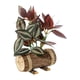 thumbnail image 5 of Plantas en Macetas Artificiales Pequeñas Soledad Plantas en macetas falsas, 5 of 5