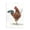 Tennis Rooster Farmhouse, variant on Stupell Industries Rustic Lodge Chicken Behind Fence Farm Animal Portrait Canvas Art, 16 x 20, by George Dyachenko
