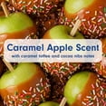 thumbnail image 3 of Softsoap Limited Edition Liquid Hand Soap, Caramel Apple Scent, 7.5 fl oz, 3 of 14