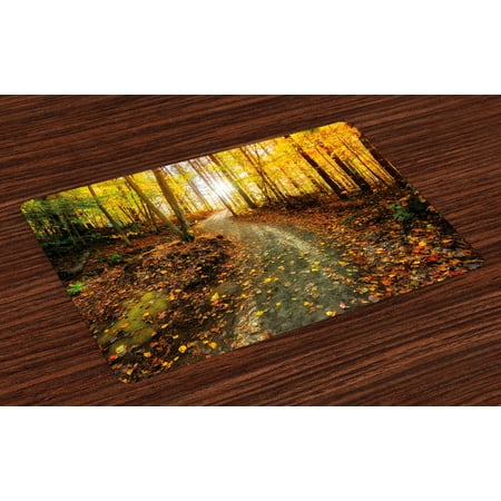 Fall Placemats Set of 4 Inspirational Early Morning View in the Woods with Rising Sun Idyllic Park Wilderness, Washable Fabric Place Mats for Dining Room Kitchen Table Decor,Multicolor, by