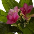 thumbnail image 3 of Nearly Natural 5394 5ft. Plumeria Tree UV Resistant (Indoor/Outdoor),Green,60.5" x 12.5" x 9.75", 3 of 3