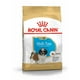 thumbnail image 1 of Alimento Croqueta Perro Royal Canin Puppy Shih Tzu 1.1kg, 1 of 2