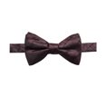 thumbnail image 1 of Ryan Seacrest Mens Grid Pre-tied Bow Tie, Red, One Size, 1 of 1