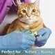 thumbnail image 4 of Cortauñas Profesional para Gatos Fácil de Usar Súper Simple y Práctico de Usar, CORTE CON PRECISIÓN, Muy buen cortaúñas para gatos, Fácil de usar para un principiante, 4 of 5