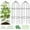 Black(XL), variant on 4 Pack Green Garden Trellis for Climbing Plants 60" x 16" Iron Plant Trellis for Potted Plant Support Tall Wall Metal Trellis for Climbing Vegetable Flower Rose Vine Cucumber