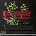 thumbnail image 5 of Cubiark Garden  12 inch Window Box  Planter (3pack) with saucer tray and drainage - Red - durable plastic pot, textured finish, removable saucer, for indoor & outdoor use, home decor, 5 of 5