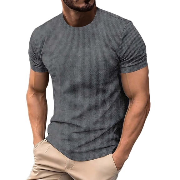 Stamzod Mens T-Shirts Crew Neck Basic Muscle Slim Shirts Gym Workout Athletic Tee Shirt Gray L