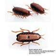 thumbnail image 4 of Horrible cucaracha en movimiento electricidad cucaracha falsa juguete insectos broma juguete, 4 of 5