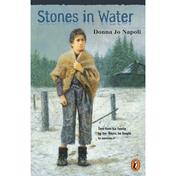 Pre-Owned Stones in Water (Paperback) 0141306009 9780141306001