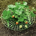 thumbnail image 4 of Vegetable Plants Plant Frame Support Balcony Strawberry Gardening Supplies Flower Climbing Stand Plant Climbing Rack Bassinet Climbing Support Vegetable Rack Tomato, 4 of 5