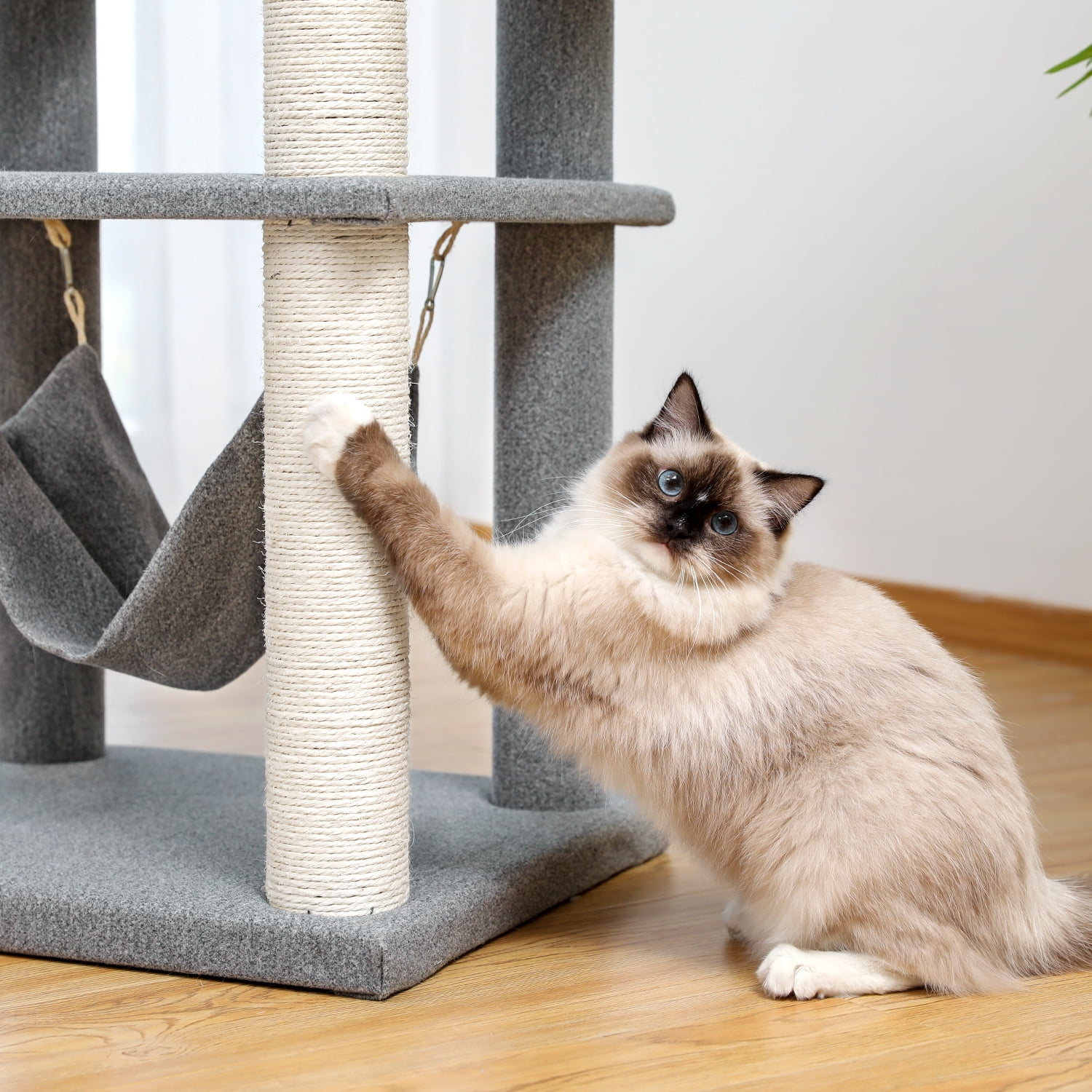 Pefilos 59" Multi-Level Cat Tree for Indoor Cats Modern Cat Activity Tower for Large Cat With Sisal Scratching Posts, Cat Condo for Multiple Cats Hammock And Extra-Large Top Perch, Gray Pefilos 59" Multi-Level Cat Tree for Indoor Cats Modern Cat Activity Tower for Large Cat With Sisal Scratching Posts, Cat Condo for Multiple Cats Hammock And Extra-Large Top Perch, Gray