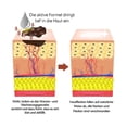 thumbnail image 4 of Bee ,Hydrating Moisturizing ,Remove Spots For Women,All Skin, 4 of 5