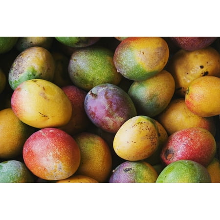 Hawaii Oahu Honolulu Fresh Ripe Mangoes For Sale At Chinatown Market Stall