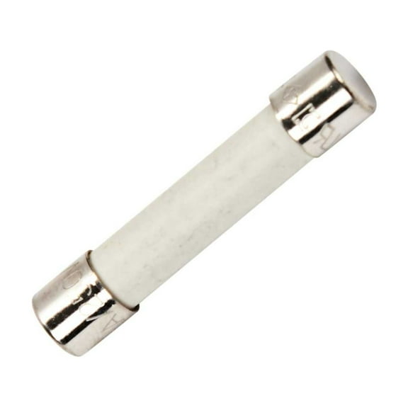 Scaroo WPM0805101 Microwave Fuse Fit For Whirlpool Replaces With AP6014669