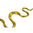 thumbnail image 2 of Safari Ltd Incredible Creatures Amazon Tree Boa, 2 of 2